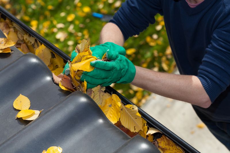 Gutter Cleaning and Maintenance
